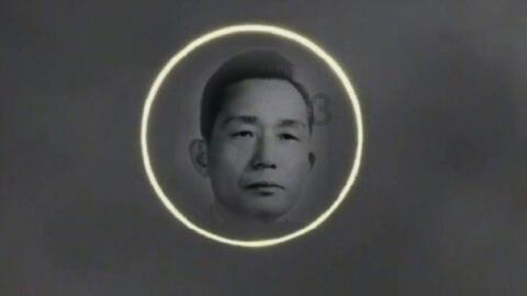果冻分裂